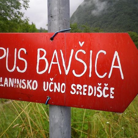Pus Bavsica Hostel Log pod Mangartom Ngoại thất bức ảnh